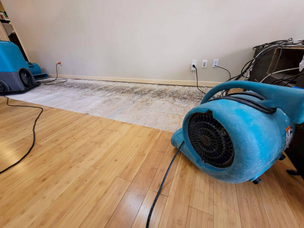 Professional Structural Drying technician working in Oakland, MD